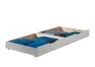 Bedlades Iris - Wit miniatuur